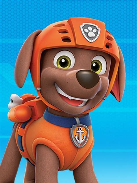 zuma paw patrol|paw patrol zuma gallery.